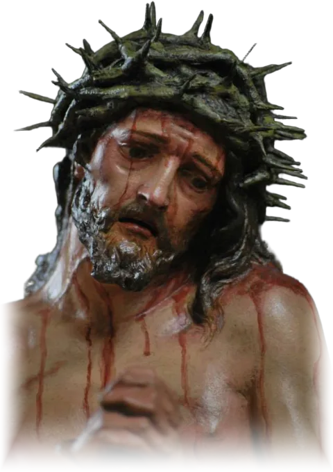Ecce Homo — The face, crowned with thorns