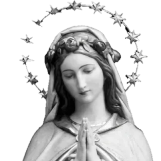 Our Lady crowned with twelve stars, hands joined in prayer: detail of a Simon Art Co. statue