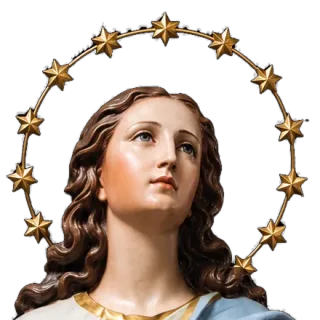 Halo of twelve gold stars around the head of an Immaculate Conception statue by Simon Art Co.